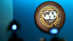 Fmi, in Italia prospettive incerte, pesano dazi e demografia