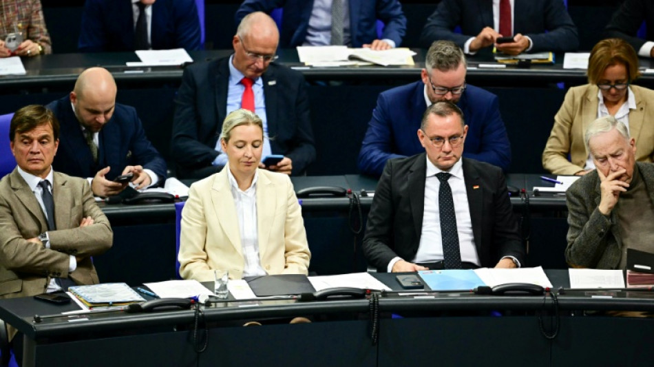 Unionsfraktion im Bundestag will Russland-Kontakten der AfD nachgehen