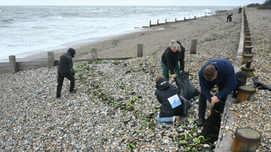 Una ola llena de plátanos llega a las costas inglesas 