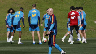 Mondiali: Spagna - Capo Verde 0-0