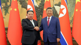 China's Xi lands in North Korea for rare visit