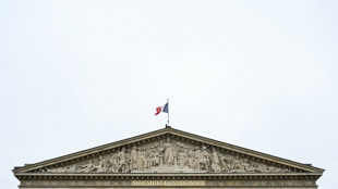 Le Parlement en passe d'allonger la dur&eacute;e de r&eacute;tention d'&eacute;trangers jug&eacute;s dangereux