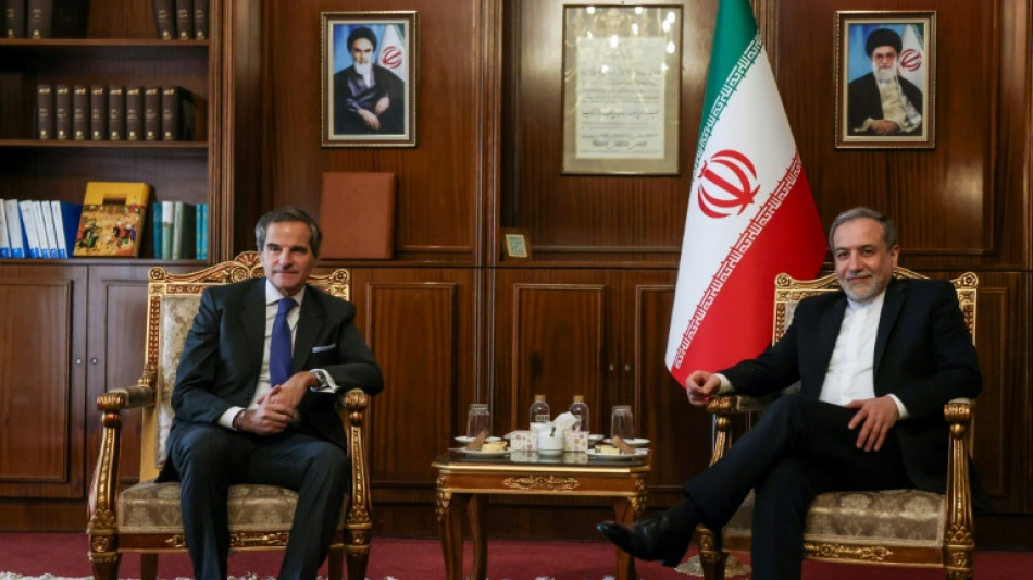 El jefe del OIEA se reúne con el canciller iraní para abordar el programa nuclear