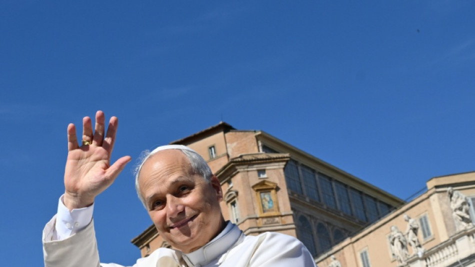 Papa Leão XIV une forças a Schwarzenegger para enfrentar a mudança climática