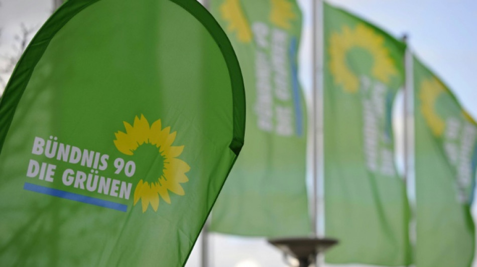 Gr&uuml;ne wollen Verfassungsbeschwerde in Karlsruhe gegen Haushalt 2025 organisieren