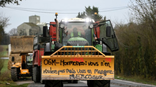 Fran&ccedil;a limita importa&ccedil;&otilde;es agr&iacute;colas em resposta &agrave; indigna&ccedil;&atilde;o com o acordo UE-Mercosul