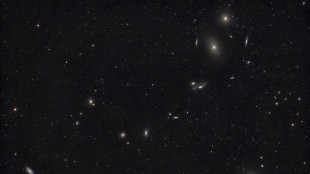 Una miniera di molecole organiche in una galassia vicina