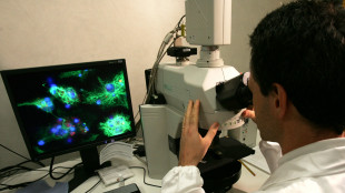 Dall'Ue 210 milioni per incoraggiare le ricerche pi&ugrave; ambiziose