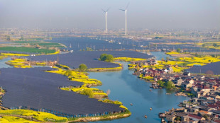 China meldet erreichten Meilenstein beim Ausbau der Erneuerbaren