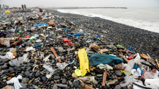 Unterhändler aus aller Welt beraten erneut über Abkommen gegen Plastikmüll