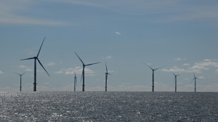 TotalEnergies désigné pour construire un parc éolien géant en mer au large de la Normandie