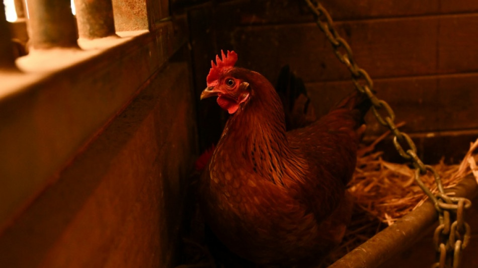 La inflación en EEUU vuelve a repuntar en mayo a 2,3% en 12 meses