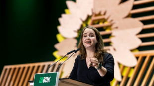 Hohe Spritpreise: Ricarda Lang fordert Recht auf Homeoffice