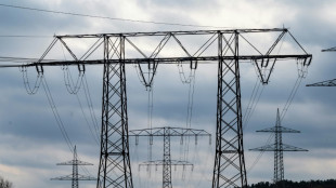 Bund beteiligt sich mit 3,3 Milliarden Euro an Netzbetreiber Tennet