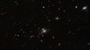 Einstein Telescope, raccolti i dati per il modello 3D del sottosuolo
