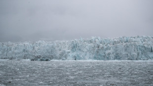 Alle Svalbard primavera da record per temperature, piogge e fusione della neve