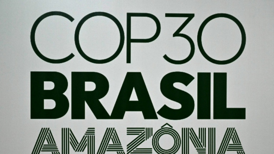 Rede in Belém: Merz sagt "namhaften" Betrag Deutschlands für Wald-Fonds TFFF zu
