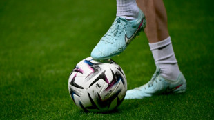 Gouvernance du sport et d&eacute;rives du foot: un autre match s'ouvre &agrave; l'Assembl&eacute;e