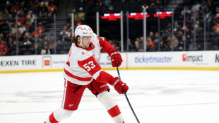 NHL: Defensivstarker Seider siegt mit Detroit gegen San Jose