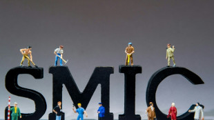 Inflation: le Smic va augmenter automatiquement le 1er mai entre 2,4 et 2,6% (minist&egrave;re du Travail &agrave; l'AFP)