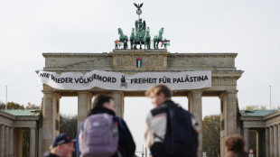 Protesta propalestina en Berl&iacute;n en la emblem&aacute;tica Puerta de Brandeburgo 