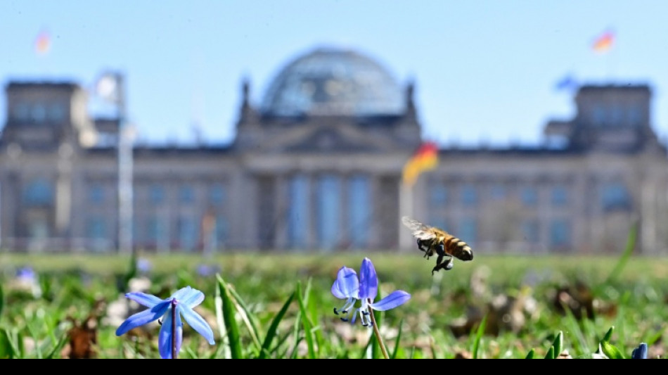 Bundestag ber&auml;t erstmals &uuml;ber Spritpreis-Gesetz