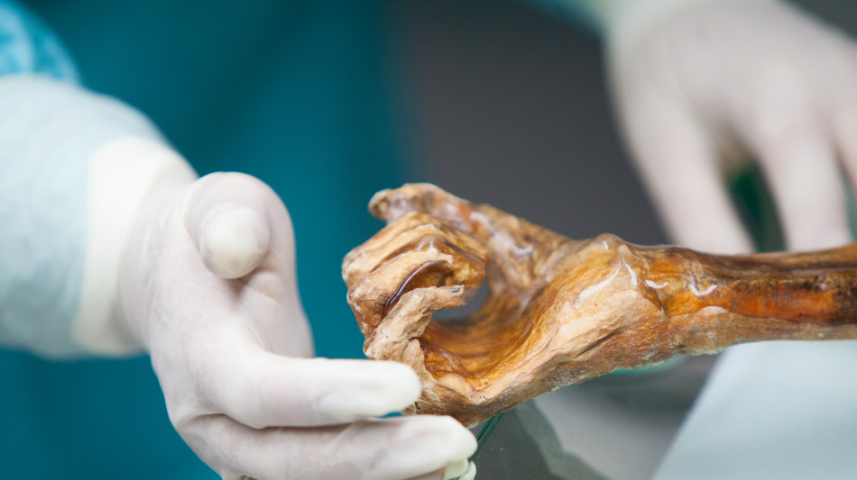 &Ouml;tzi, svelato il microbioma di 5mila anni fa