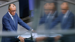 Merz: EU muss mit Nutzung russischen Verm&ouml;gens "Druck auf Putin" erh&ouml;hen