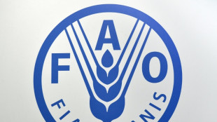 La ONU advierte que el bloqueo de Ormuz podr&iacute;a desencadenar una grave crisis alimentaria mundial