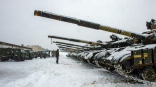 Orban pledges cooperation with Putin in storm of Ukraine crisis