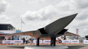 Un consorcio alem&aacute;n espera construir un nuevo caza tras el fracaso del SCAF