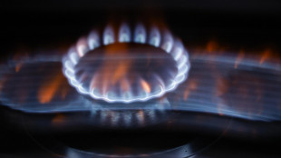 Il prezzo del gas chiude in calo a 30,89 euro