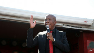 Afrique du Sud: l'opposant radical Julius Malema condamn&eacute; &agrave; 5 ans de prison pour tir avec une arme