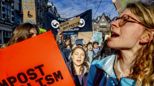 Pays-Bas: Greta Thunberg rejoint des dizaines de milliers de personnes à une manifestation d'ampleur sur le climat