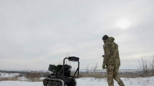 US pressing Ukraine and Russia to end war by June, Zelensky says