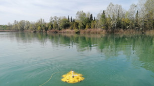 Robot con IA per monitorare le praterie di Posidonia