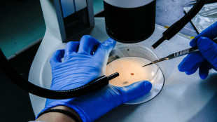 I batteri diventano fabbriche per creme solari ispirate ai pesci
