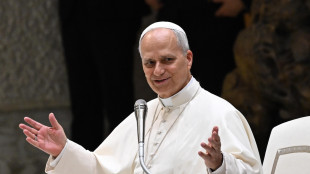 Il Papa in Turchia, visiterà anche la Moschea Blu