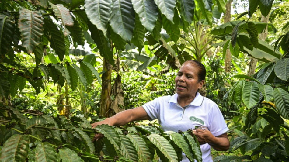 Entre montañas verdes, campesinos cuidan el agua del canal de Panamá