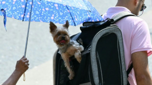 Italia pone a casi todas las ciudades en alerta m&aacute;xima por una ola de calor
