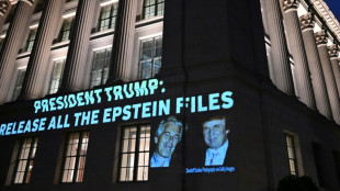 Trump beharrt in Epstein-Affäre auf "Schwindel"
