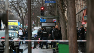 Paris: la police blesse gri&egrave;vement un homme arm&eacute; d'un couteau, deux enqu&ecirc;tes ouvertes