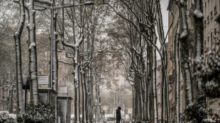 "No&euml;l au balcon, P&acirc;ques aux tisons": d&eacute;but avril, la France agricole en mode combat face au froid