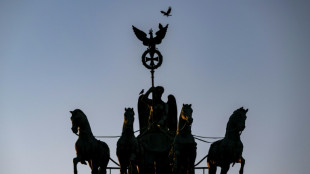 Propal&auml;stinensische Aktivisten gelangen mit Hebeb&uuml;hne auf Brandenburger Tor