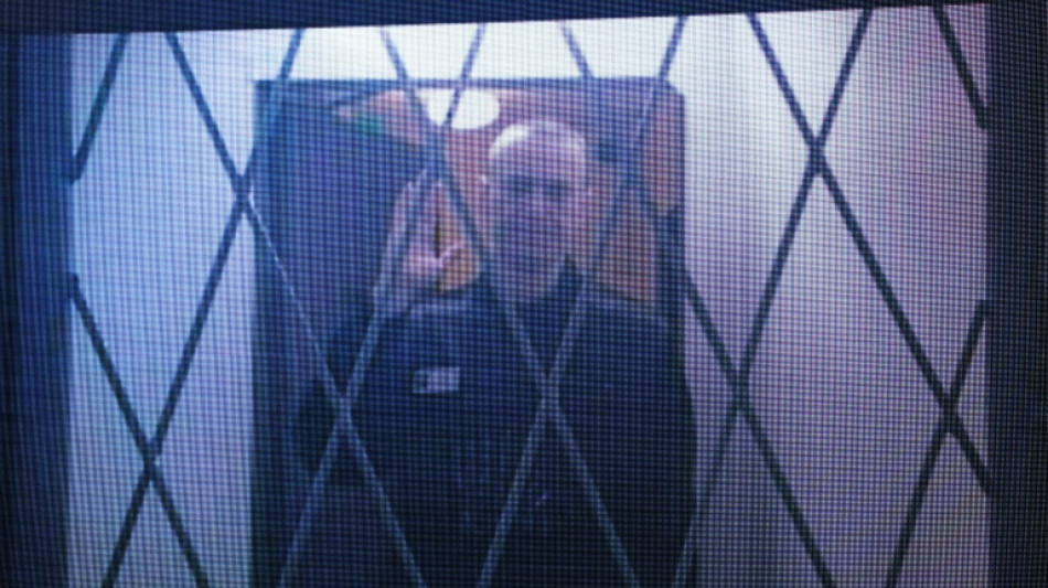 F&uuml;nf europ&auml;ische Staaten finden Beweise f&uuml;r Vergiftung Nawalnys durch Froschgift