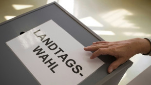 Wahl-O-Mat für Landtagswahl in Niedersachsen gestartet