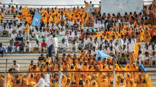 EEUU defiende en la ONU el derecho de Israel a reconocer a Somalilandia