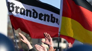 Beh&ouml;rden: Deutlich mehr rechte Gewalttaten in Brandenburg