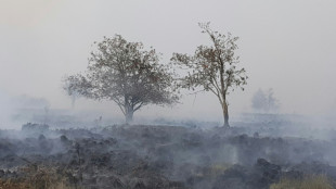 Waldbr&auml;nde: Richterbund lehnt Strafversch&auml;rfungen ab