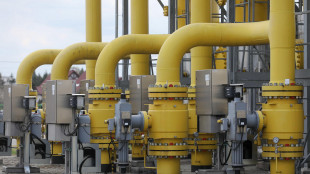 Il gas a 31,8 euro al Megawattora